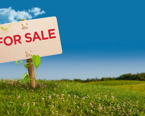 The Ultimate Guide to Legally and Securely Buying Land in Kenya
