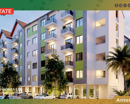 How Diaspora Can Invest Safely, Maximize Returns, and Build Wealth in Kenya