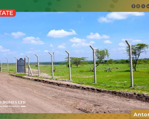 Kenya Land & Plot Investment Guide 2026 – Buy Plots Safely & Profitably
