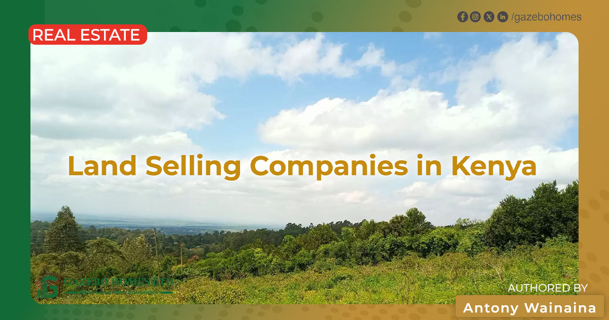 Land Selling Companies in Kenya